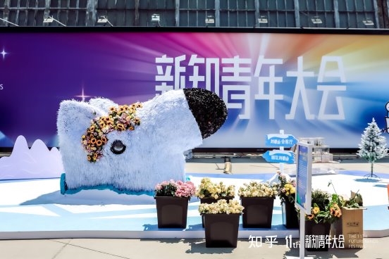 威尼斯wns8885566手机版易赛马拉松跑步机表态知乎新知青年大会与当代新知人